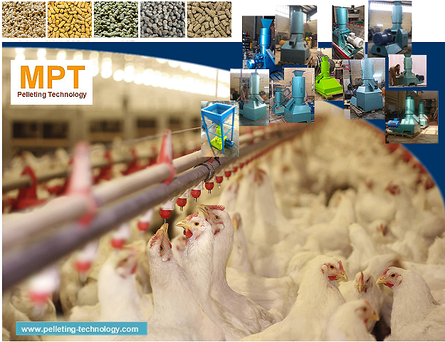 قیمت دستگاه پلت زن دان مرغ